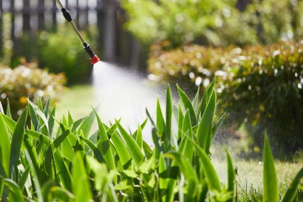 24/7 Emergency Cockroach Control experts in Cushing, OK