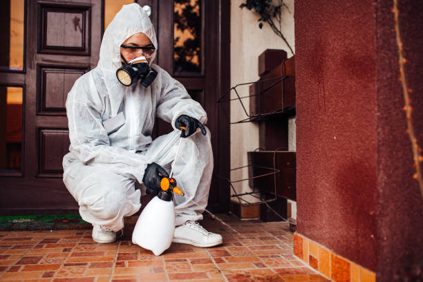 Reliable Cockroach Control contractor in Cushing, OK by Nex Pest Control