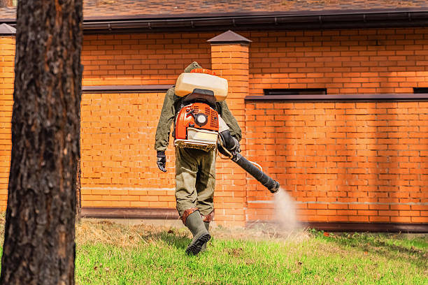 Top rated local Cockroach Control specialists in Cushing, OK